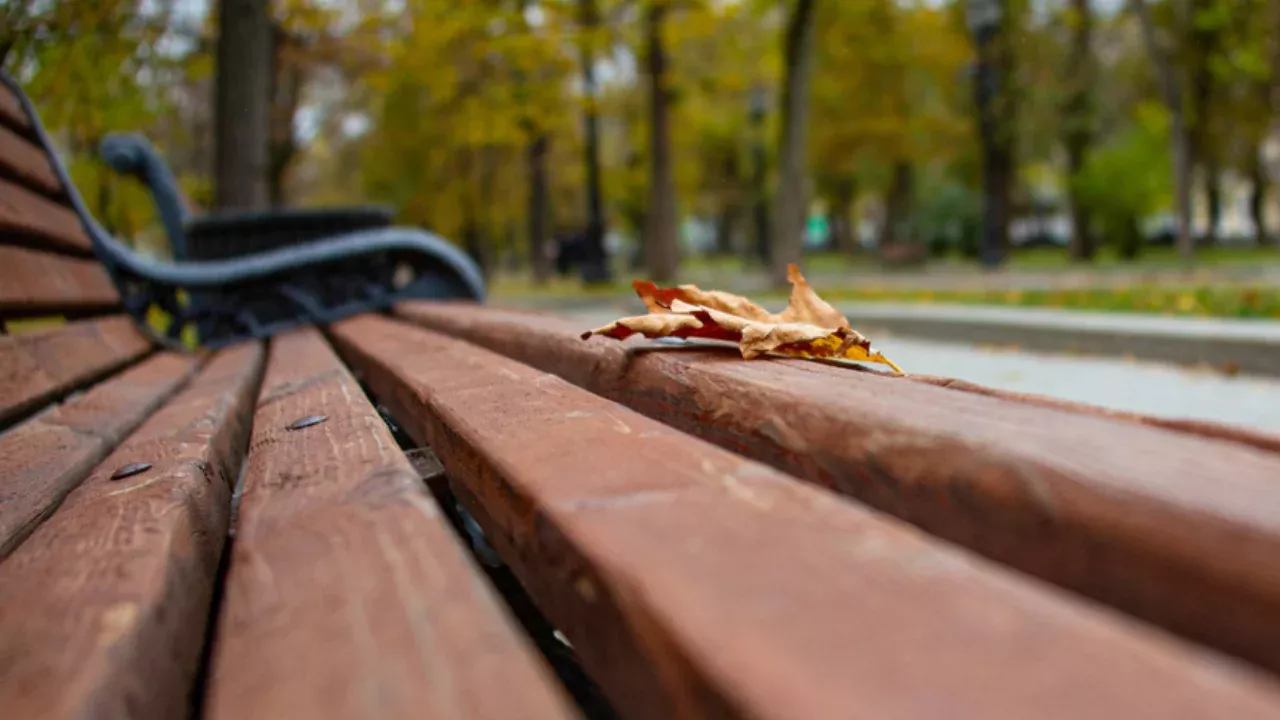Warm and cloudy weather in Uzbekistan from October 20-23