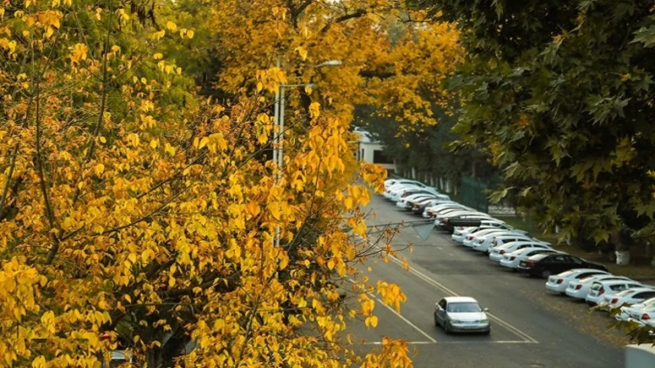 20-oktyabrda O‘zbekistonda ob-havo salqin va quruq bo‘ladi