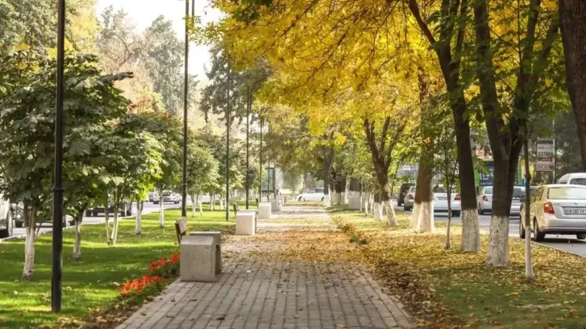 Stable weather in Uzbekistan on October 4, 2025