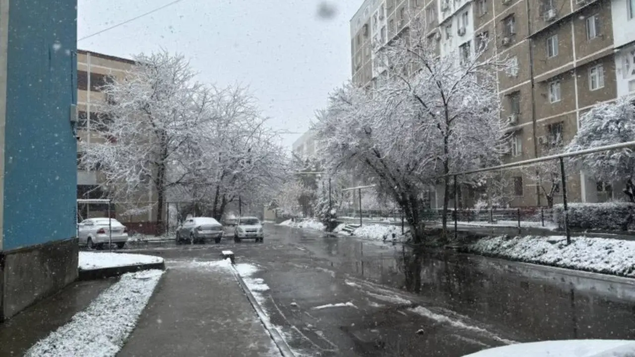 O‘zbekistonda noyabrgacha qor yog‘maydi, sovuq kuchayadi