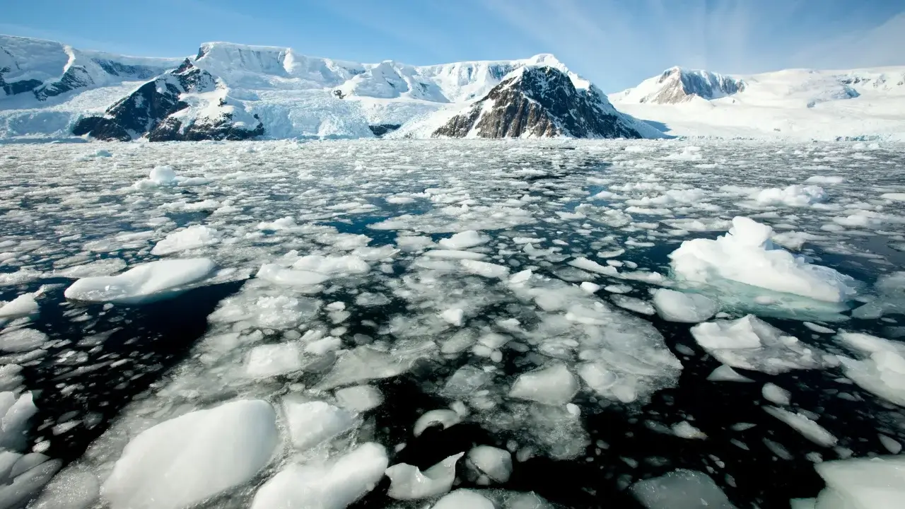 Sea ice in Antarctica has decreased to a record low