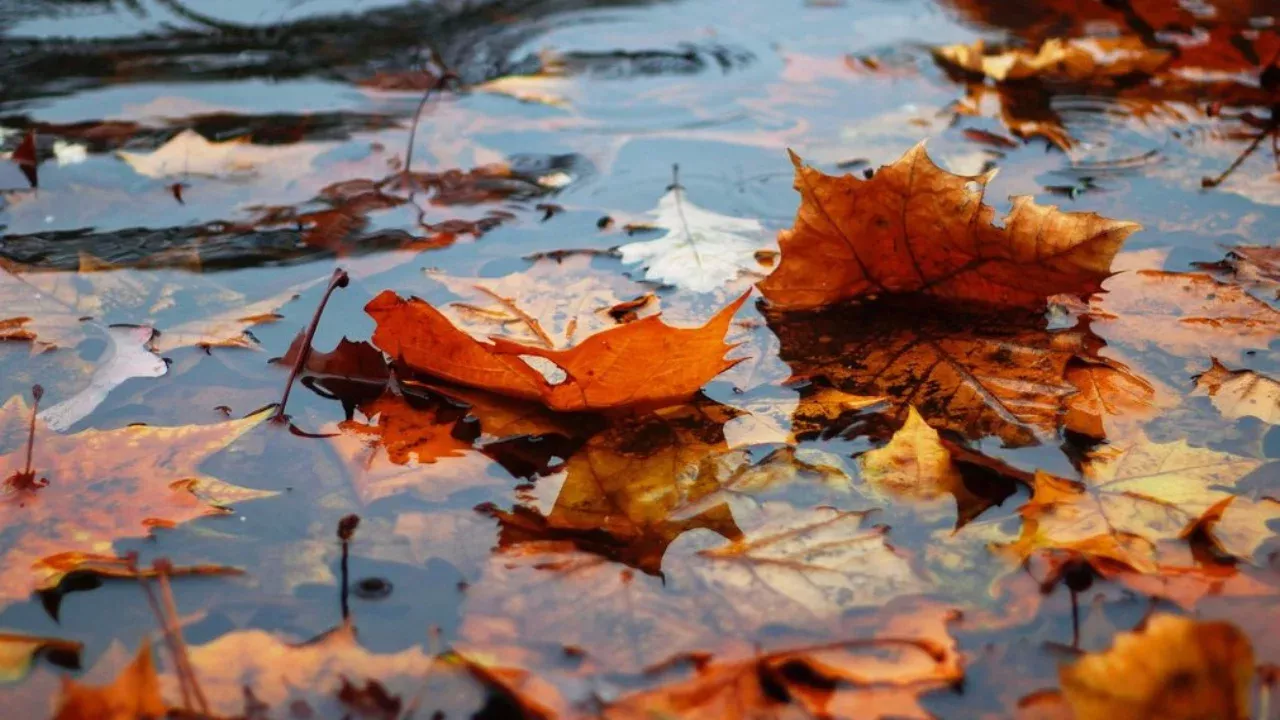 7 oktyabrda O‘zbekistonda yomg‘irsiz ob-havo saqlanadi