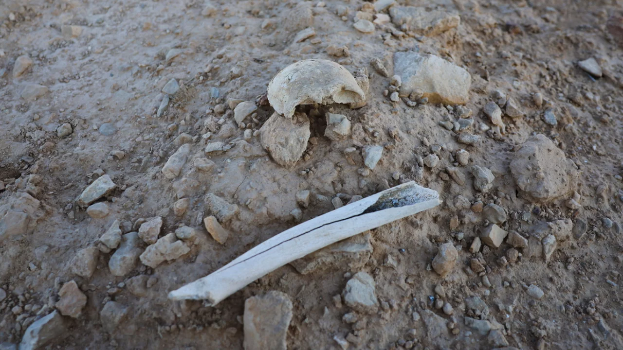 Hundreds of bodies found near Raqqa