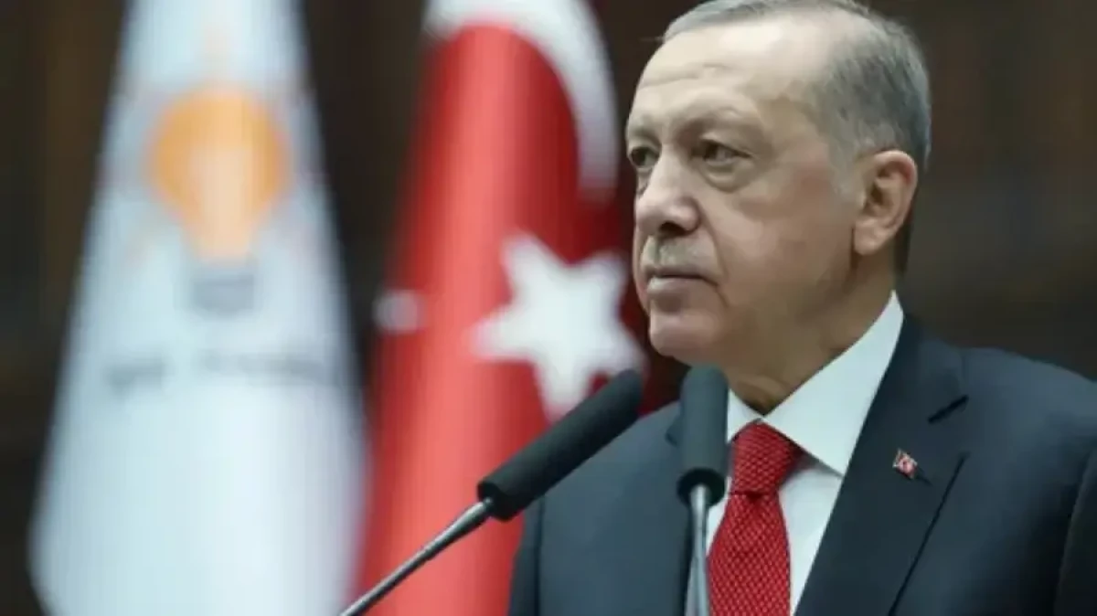 Turkey provided convenience for Turkic states to live