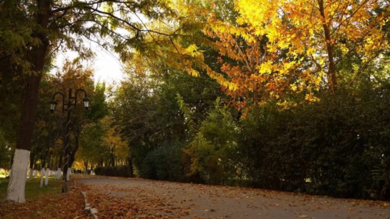 Stable weather in Uzbekistan on October 9