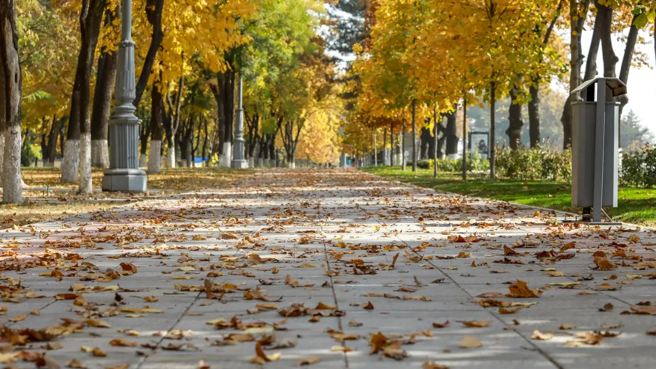 Warm and windy weather in Uzbekistan at the beginning of October