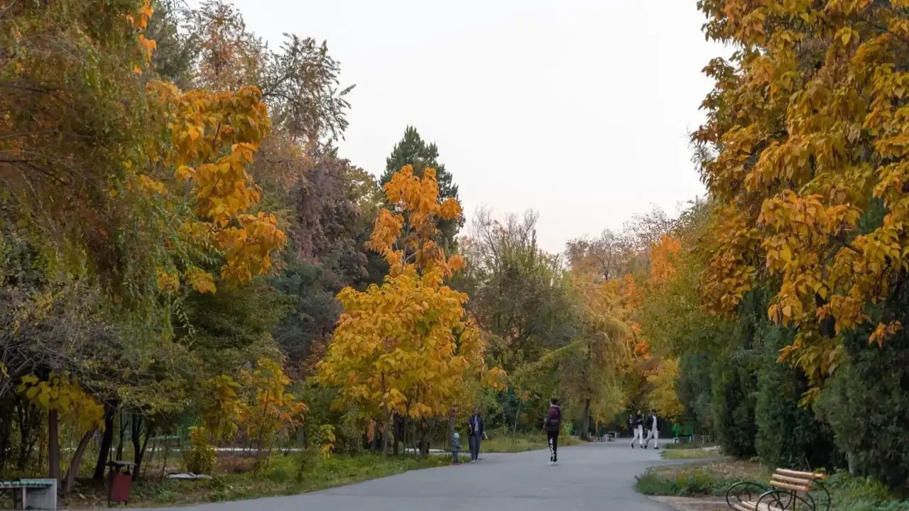 Sunny weather in Uzbekistan on October 15