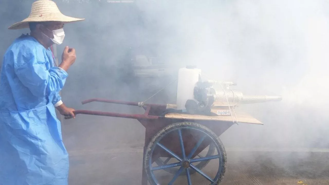 Заболевания чикунгунья лихорадкой растут в мире