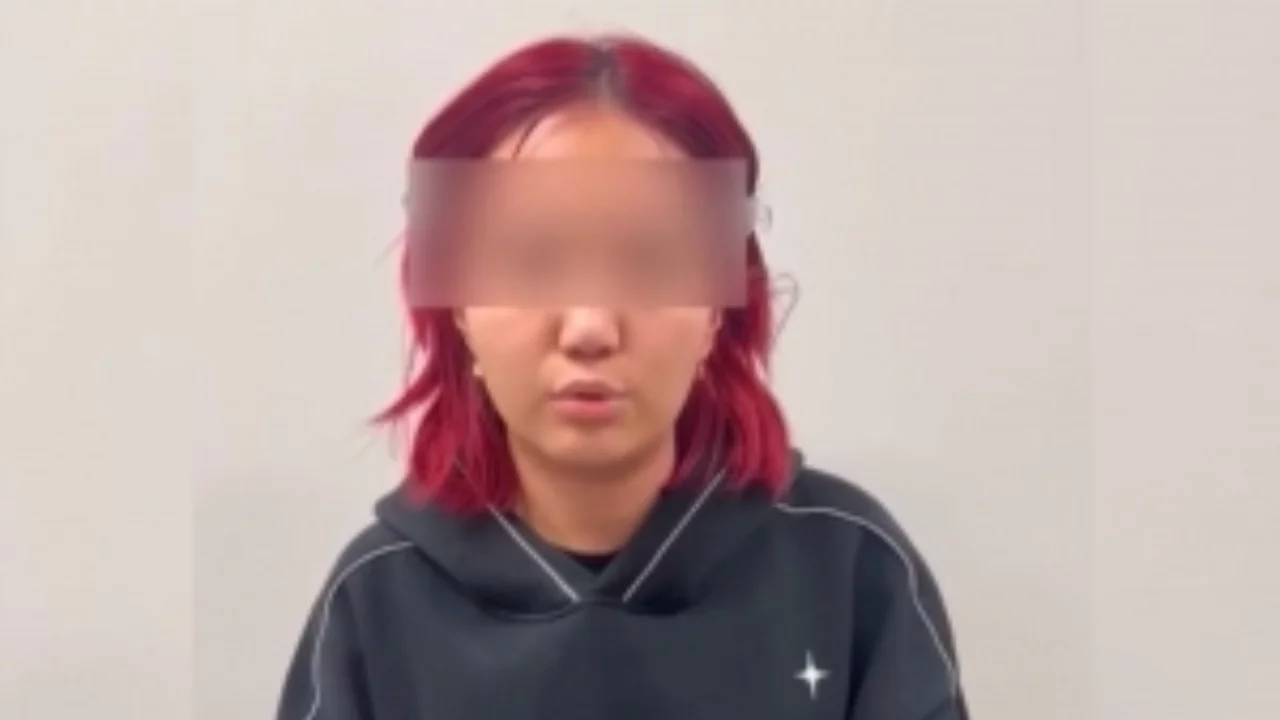 Person detained in Bishkek on terror threat