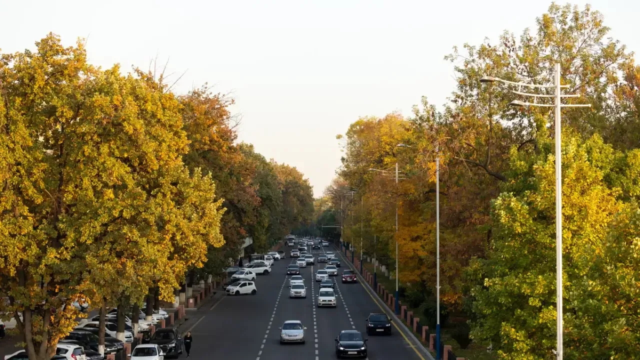 Завтра в Узбекистане погода будет преимущественно солнечной