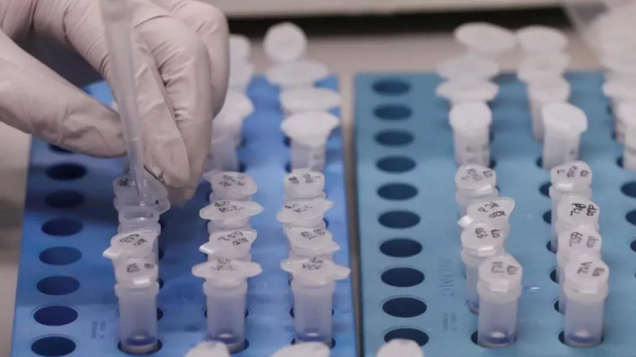 Распространение вируса чикунгунья в Гуандуне увеличилось