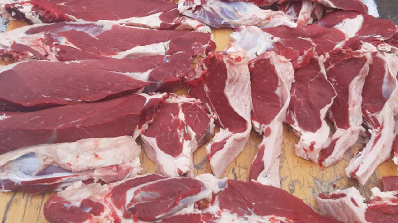 Mo‘g‘uliston go‘shti O‘zbekistonga eksport qilinadi