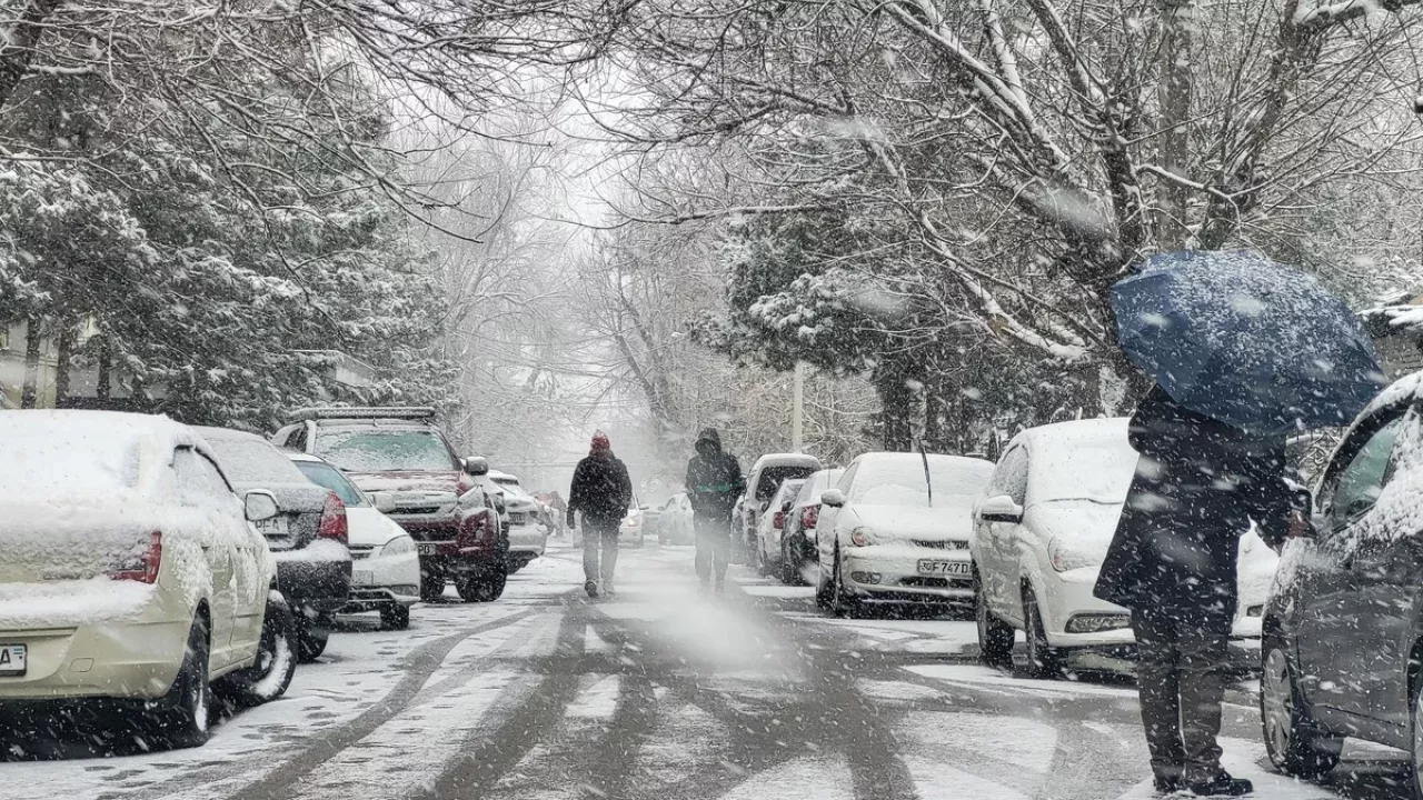 В октябре осадков мало, зима может быть сухой