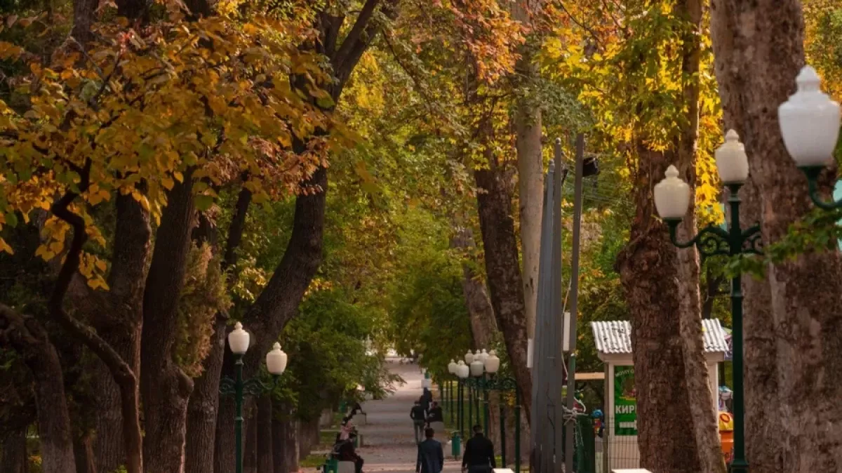 В Узбекистане 10 октября погода будет переменчивой