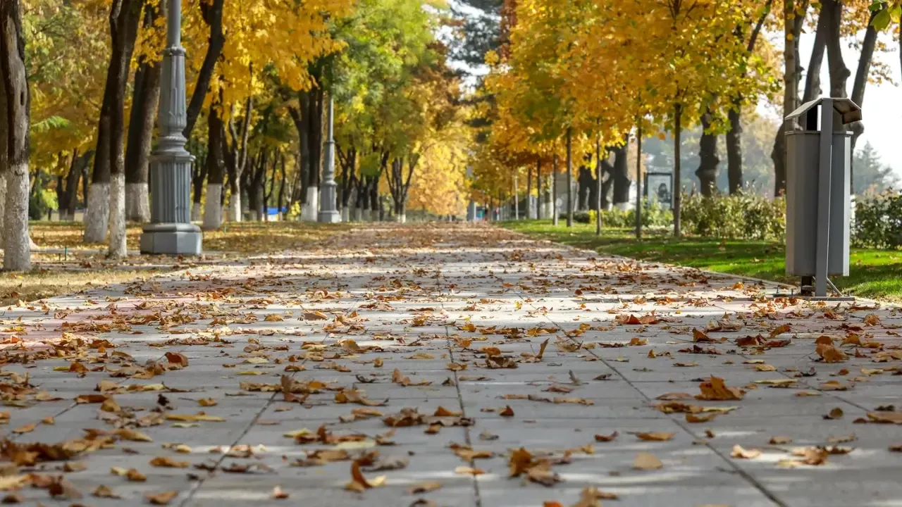 Warm and comfortable weather in Uzbekistan from October 6 to 9