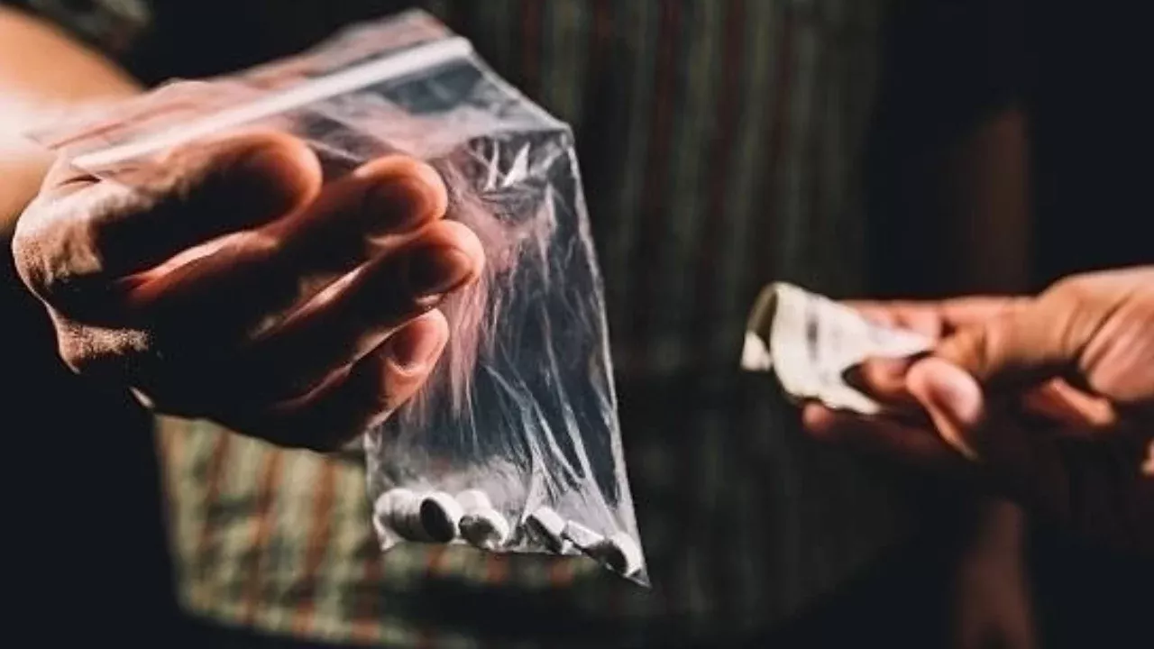 O‘zbekistonda narkotik jinoyatlar soni oshmoqda