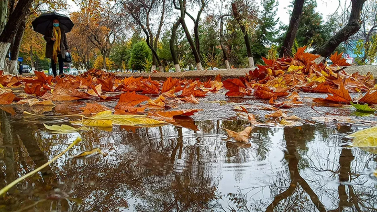 В Узбекистане погода скоро начнет остывать