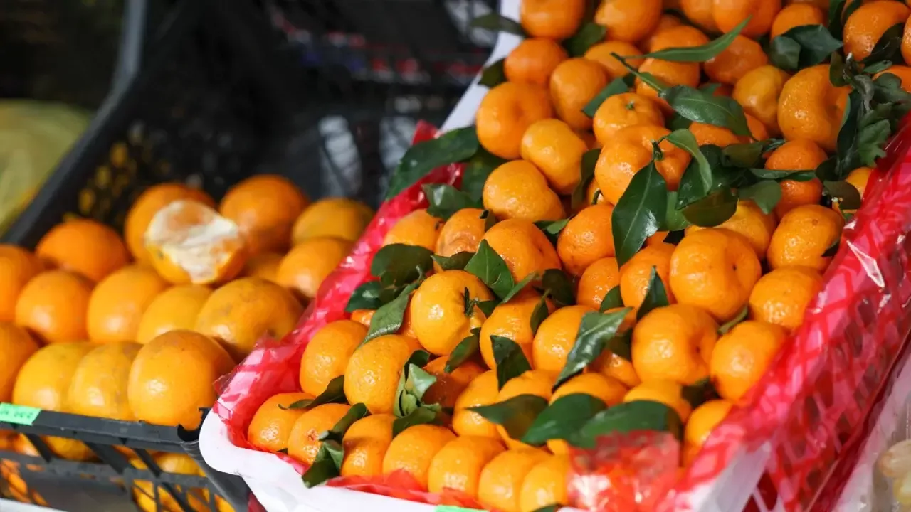 Harmful organisms detected in mandarins coming through Kazakhstan