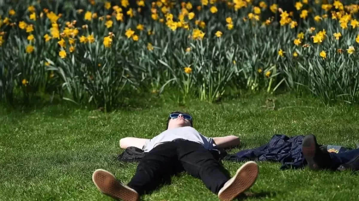 Kotib va xojayin bilan onlayn jinsiy aloqa Chiroyli qizlar erkaklarning yuziga smeta