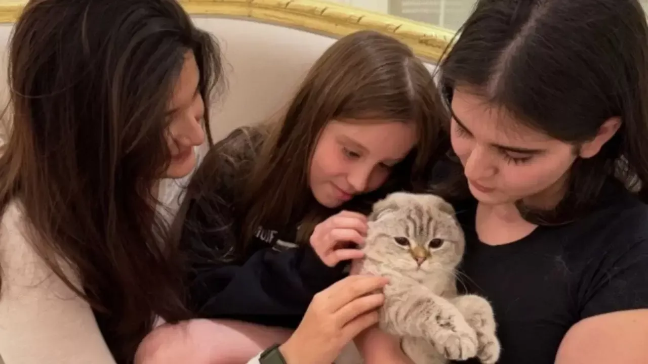 Шахноза Мирзиёева нашла свою кошку, общество объединилось