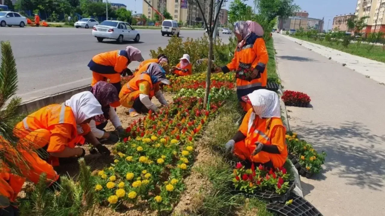 Toshkentga gul ko‘chatlari uchun 10 milliard so‘m ajratildi