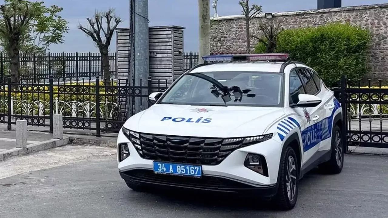 Kok rangli binafsha muzqaymoq fotosurati