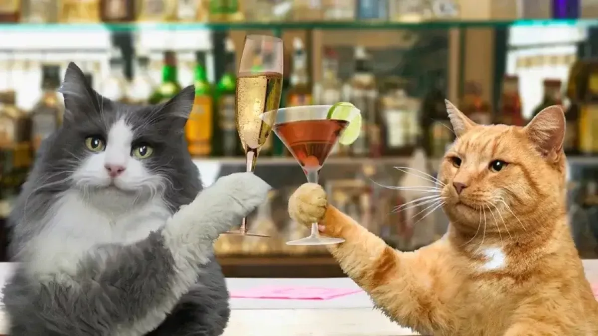 Non-alcoholic wine developed for pets in New Zealand