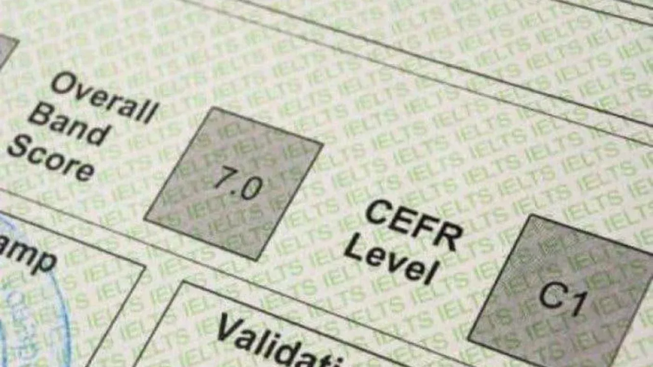 Для молодежи предоставляются субсидии на изучение иностранных языков