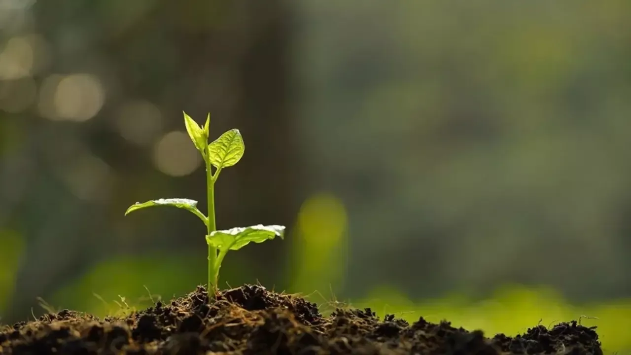 Yoshlar uchun Yashil tashabbus jamg‘armasi ochildi