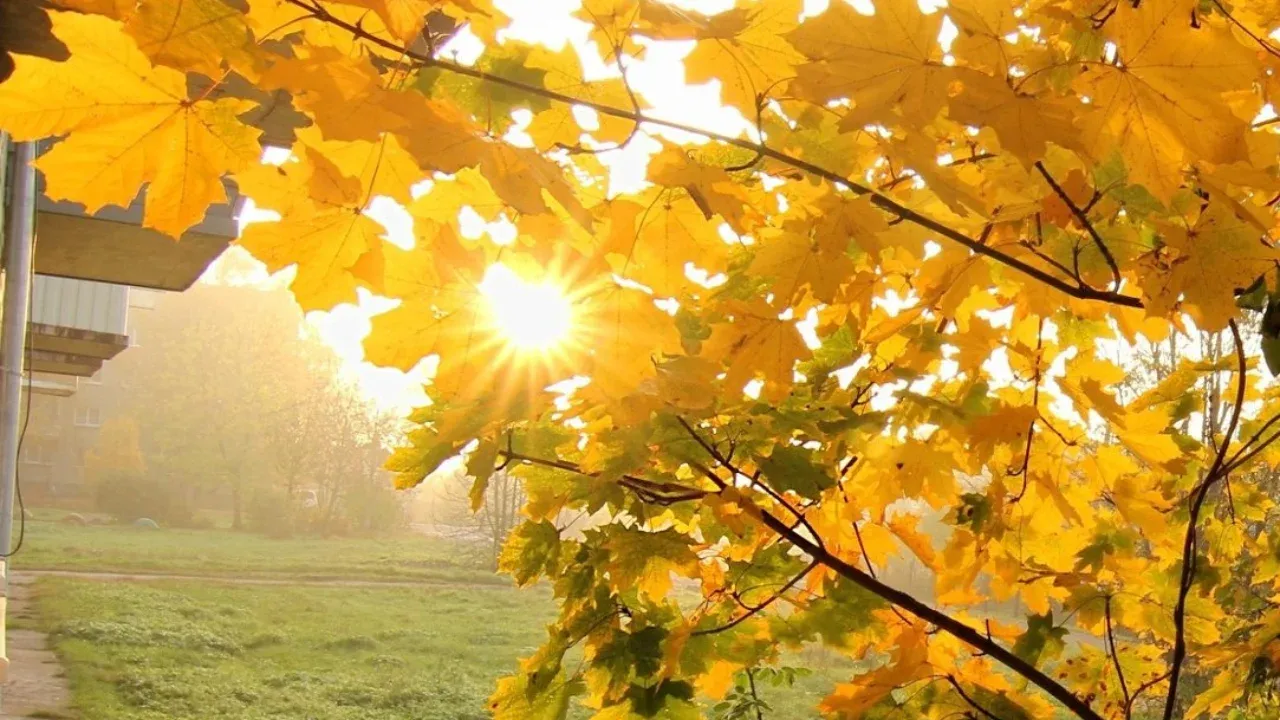 15 ноября: Теплая и ясная погода по всему Узбекистану