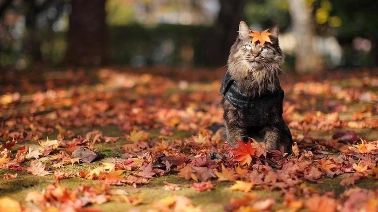 November 26: Weather will be stable across Uzbekistan