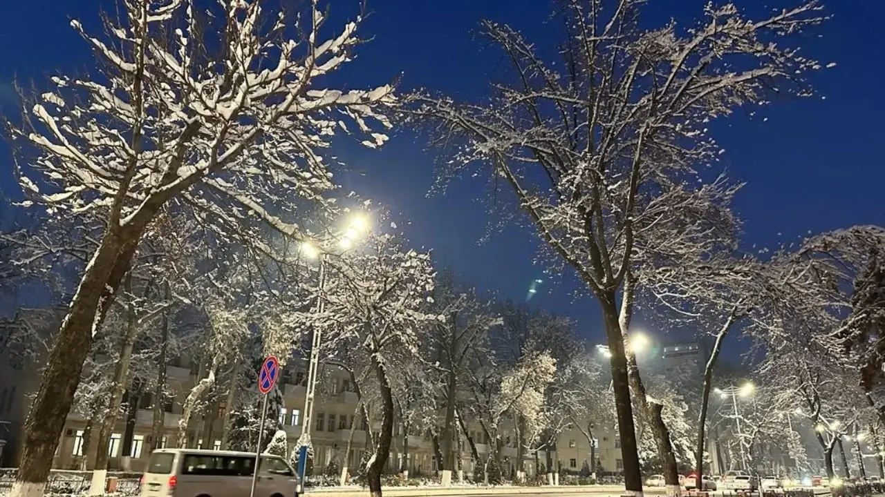 Tog‘li hududlarda qor ko‘chishi xavfi e’lon qilindi