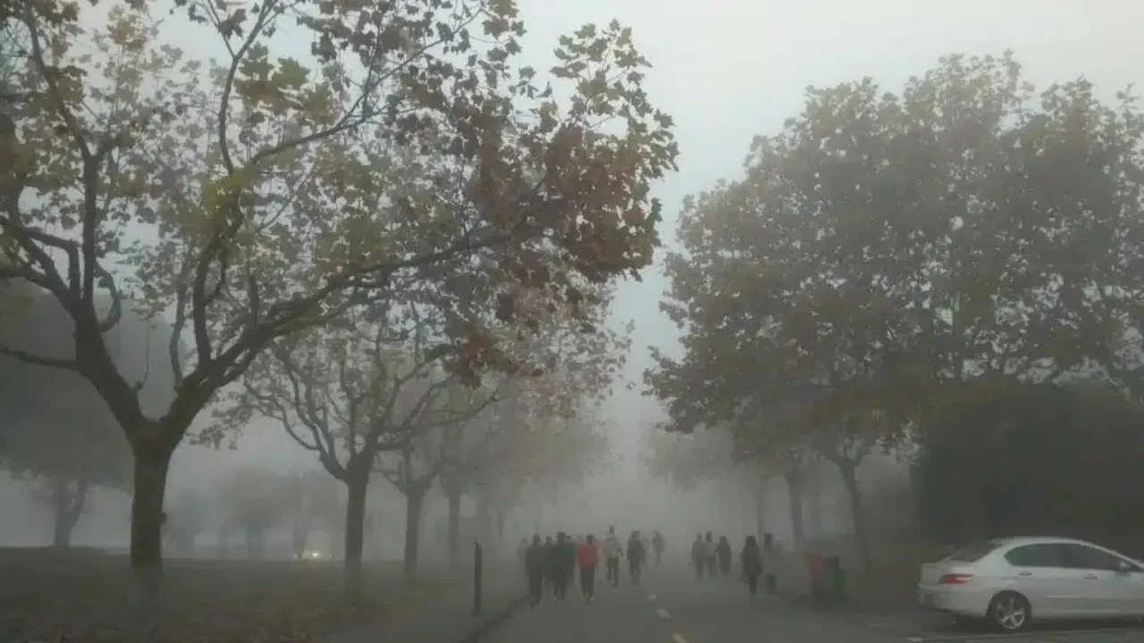 Toshkent havosi iflosligi bo‘yicha dunyoda ikkinchi bo‘ldi