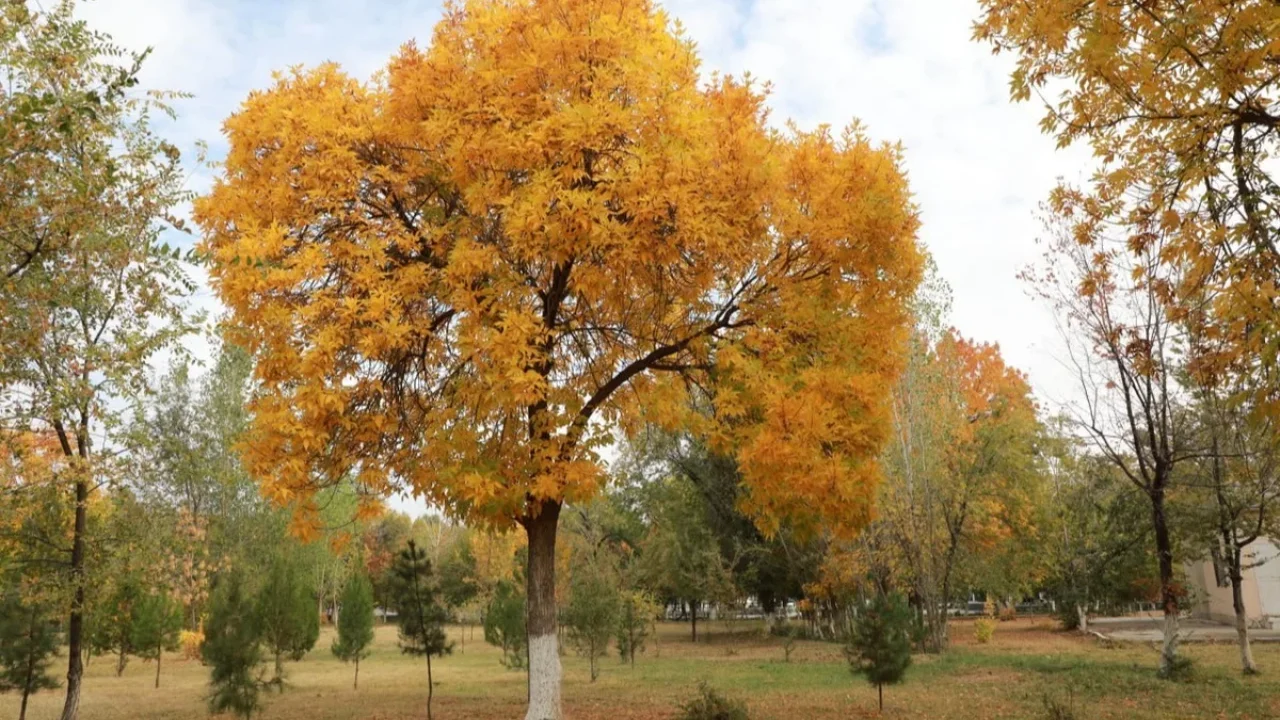 The weather will cool down a bit on the weekend