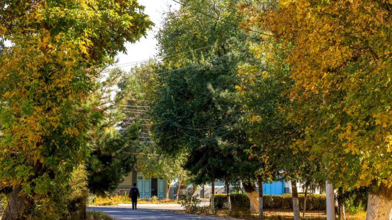 Weather will be stable during the week, no precipitation expected