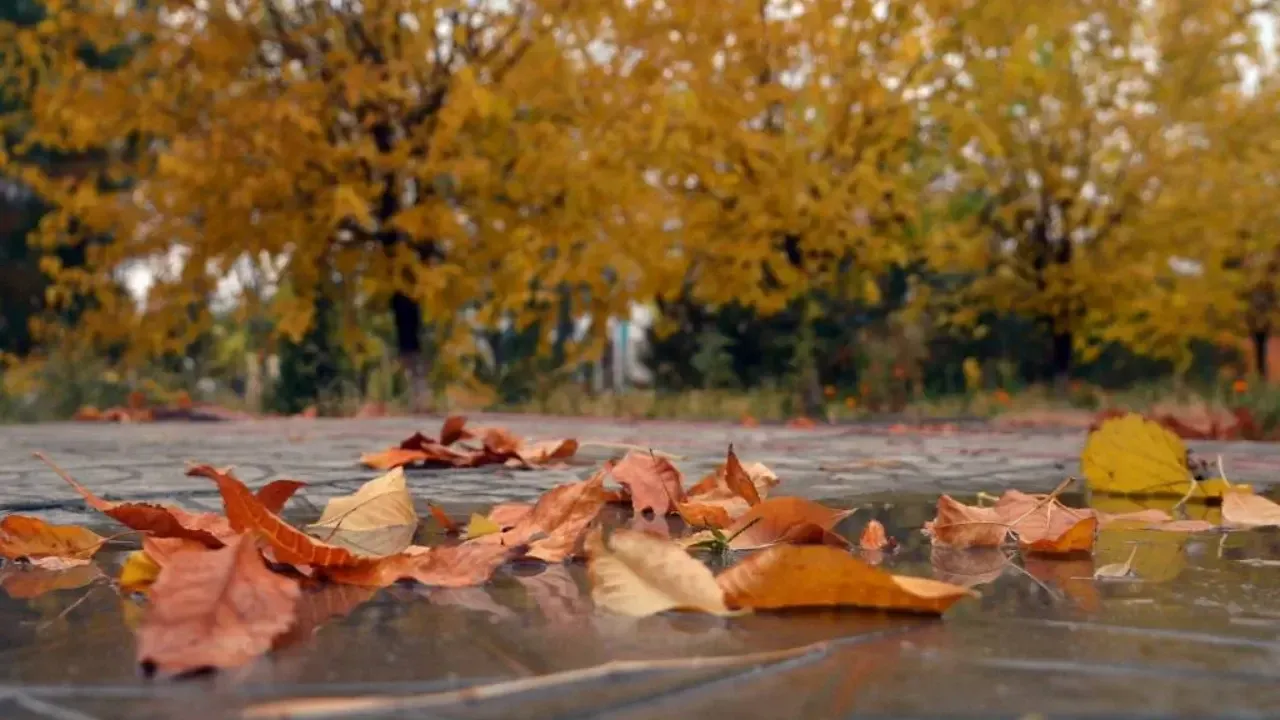 November 7: Warm weather without precipitation expected in Uzbekistan