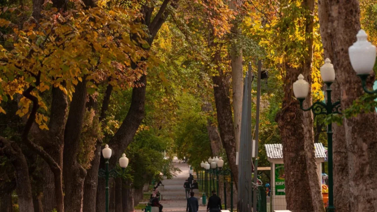 24-noyabr: O‘zbekistonda iliq va osoyishta ob-havo