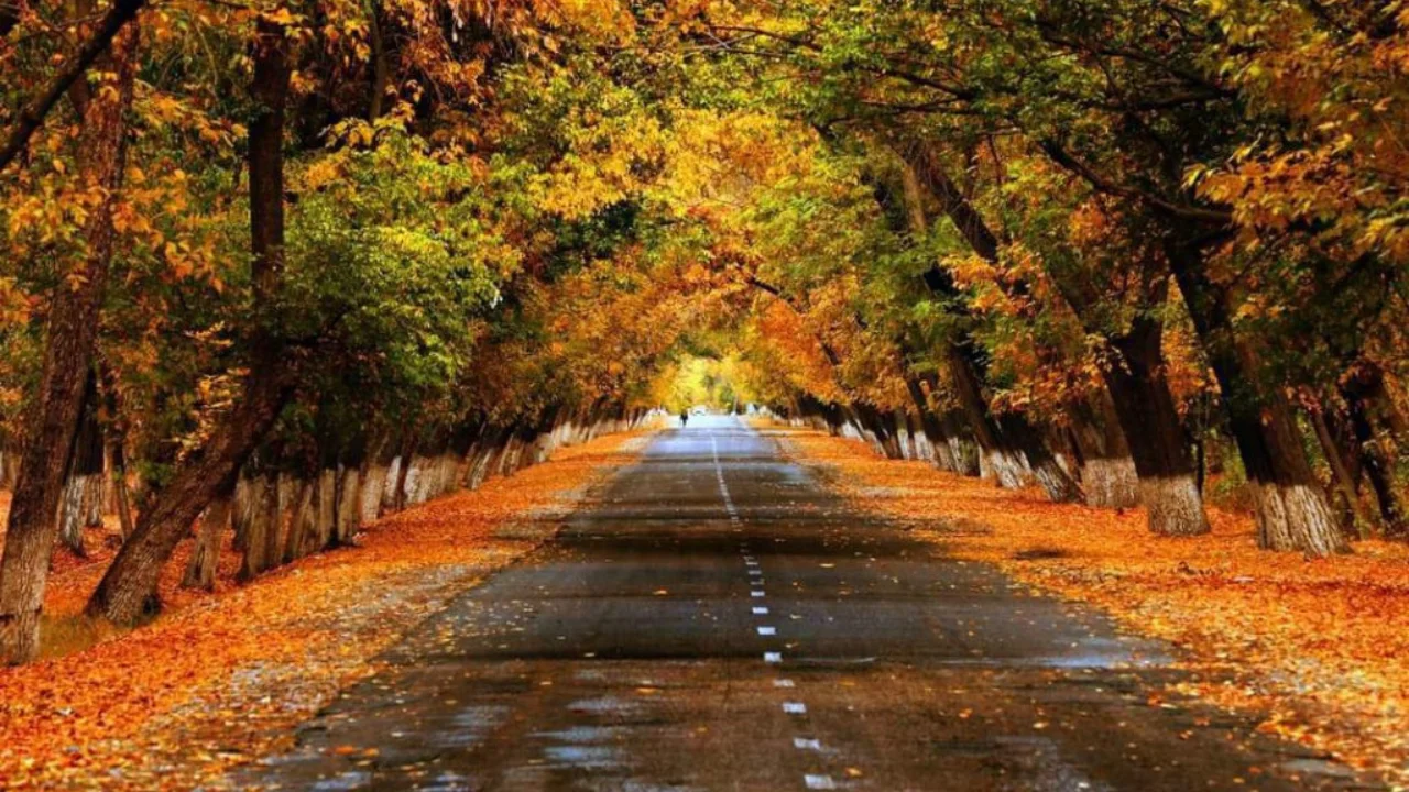 20-noyabr: O‘zbekistonda havo iliq va barqaror bo‘ladi