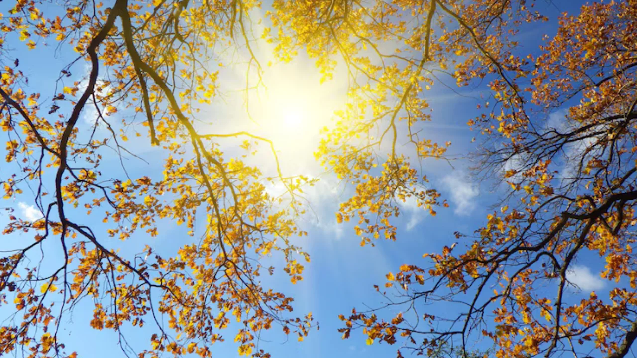 13-noyabr: O‘zbekistonda iliq va quyoshli ob-havo