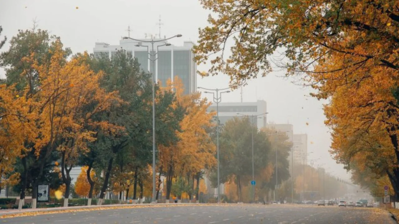 29 ноября: по Узбекистану тепло и туманно