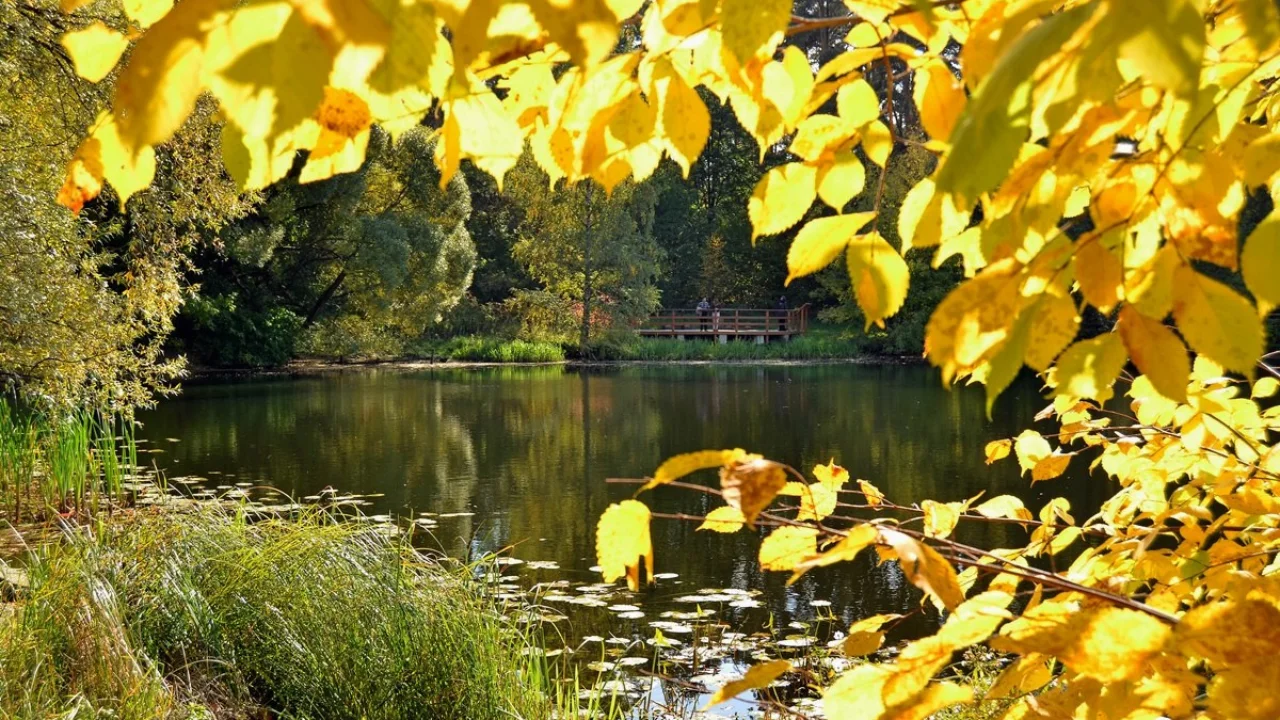 Tomorrow the weather in Uzbekistan will be warm and without precipitation