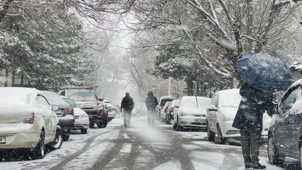 2025–2026 Winter Weather Forecast Announced