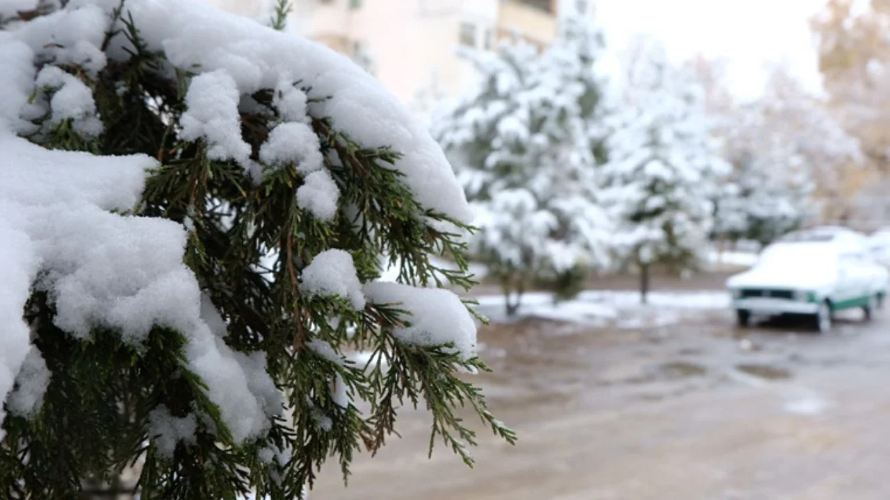 The weather will be warm and stable at the beginning of December