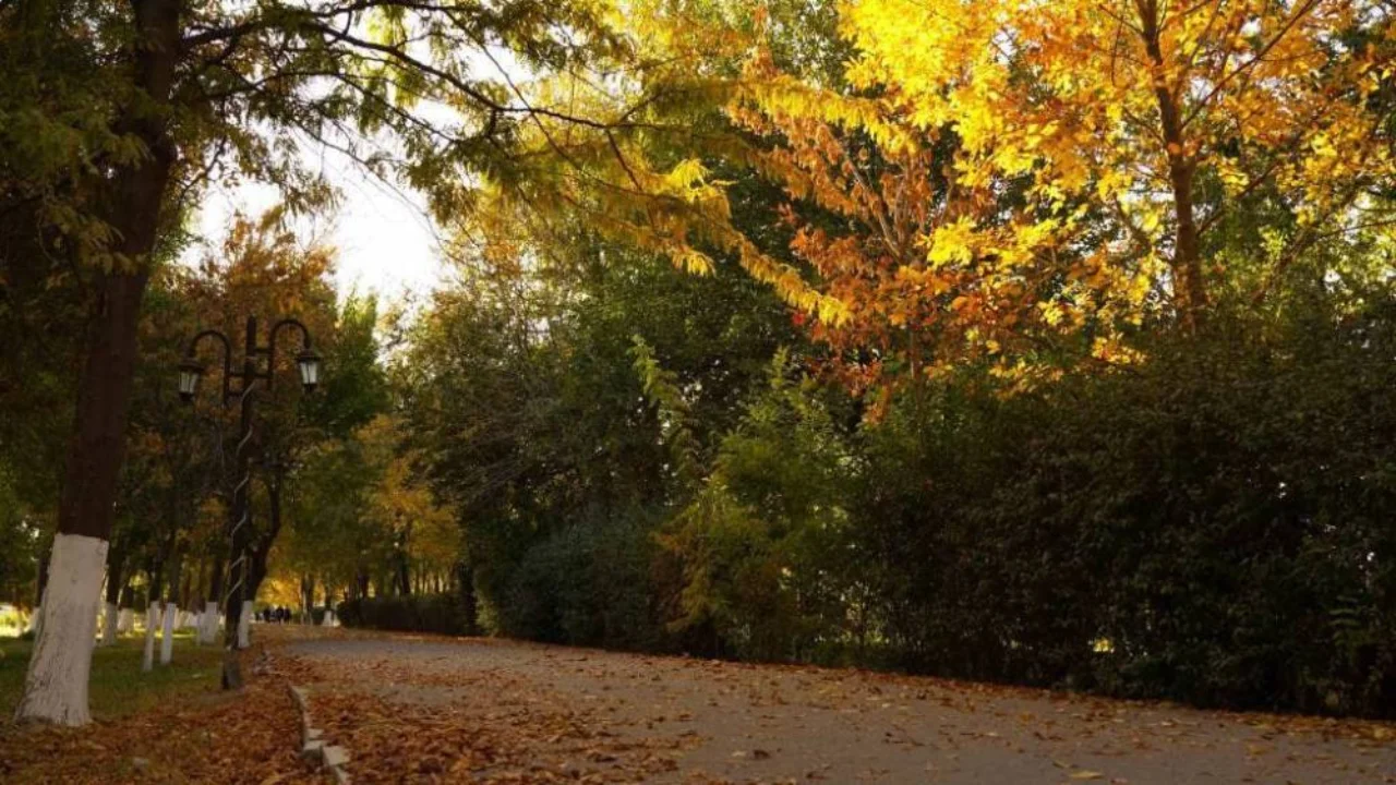 Ertaga O‘zbekistonda ob-havo barqaror bo‘ladi