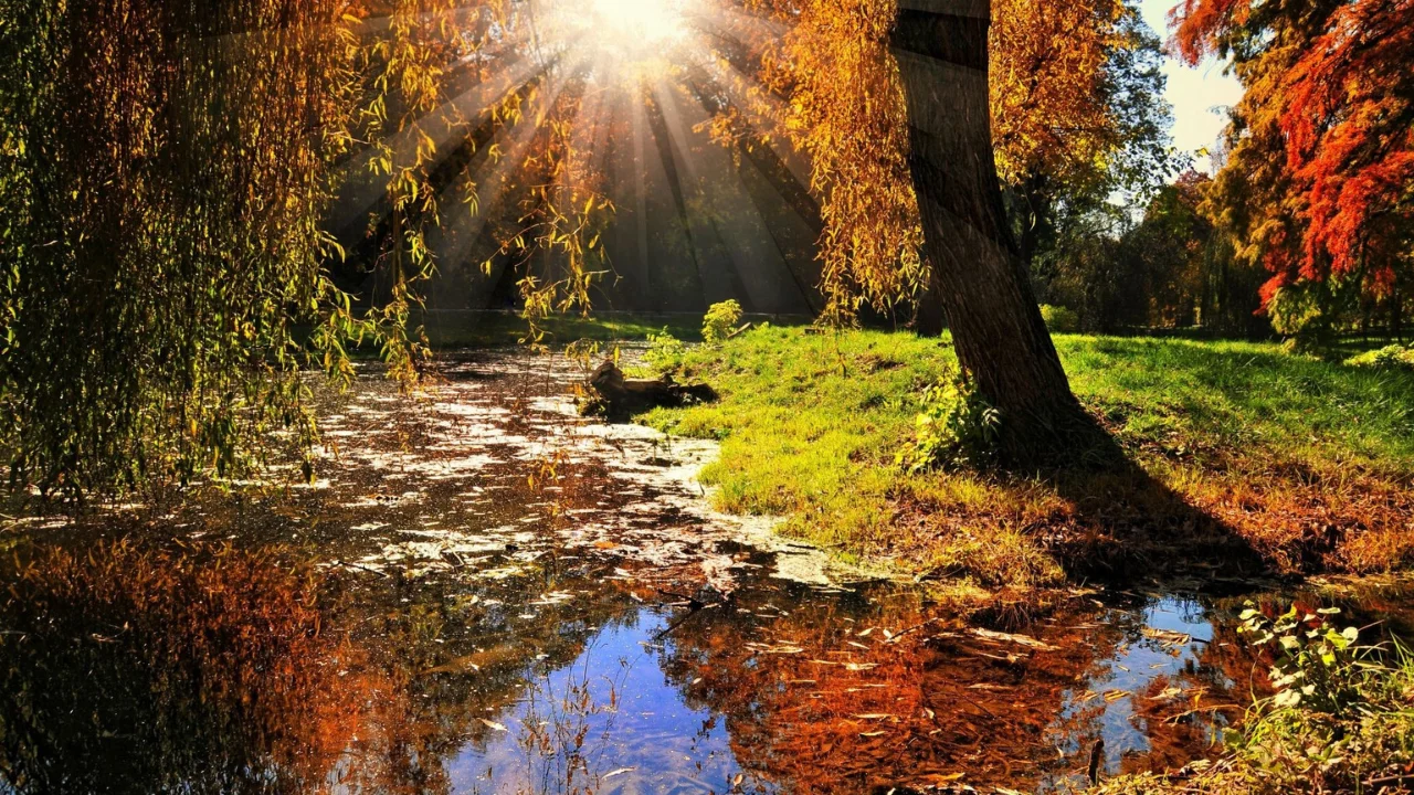 November 18: Warm and stable weather in Uzbekistan