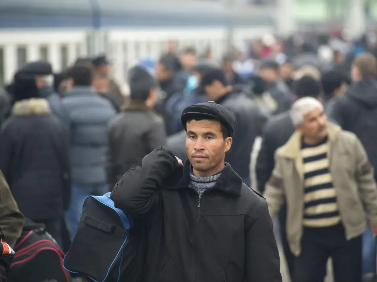 Mehnat migrantlari uchun yangi sug‘urta tizimi joriy etildi