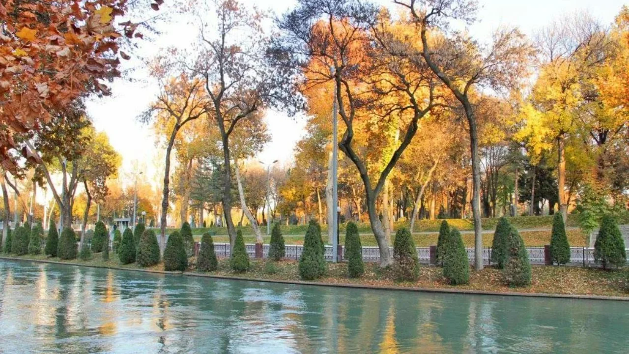 November 28: Dry and warm weather expected in Uzbekistan