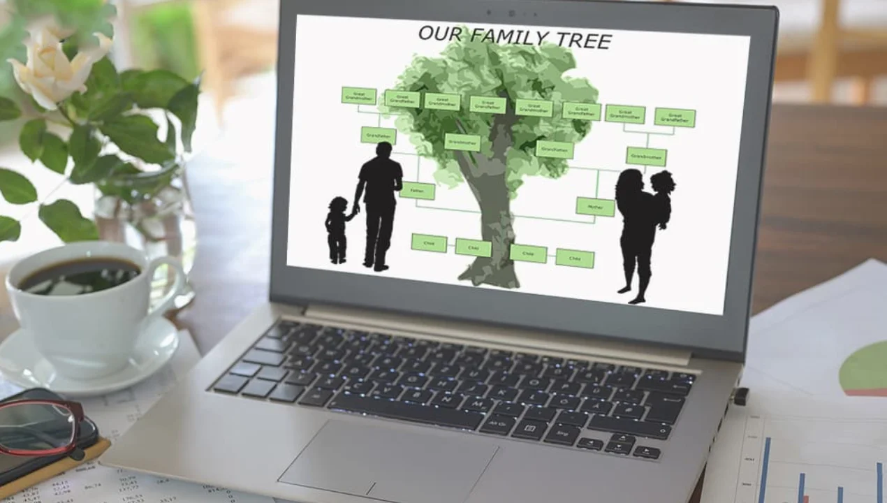 O‘zbekistonda «Shajara» tizimi ishga tushiriladi