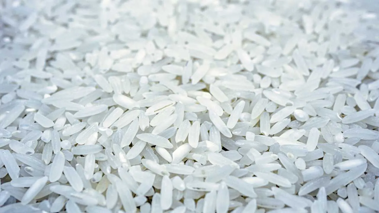 O‘zbekiston Qirg‘iziston guruchining eng yirik xaridori bo‘ldi