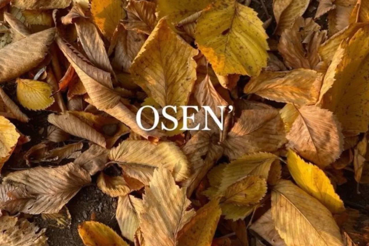 10-13 noyabr: O‘zbekistonda quruq va iliq ob-havo.